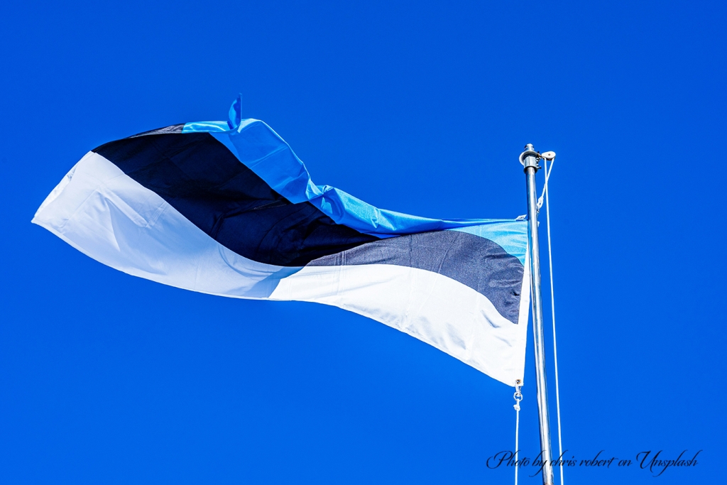 Eesti lipp. chris-robert-1d6HnEEy65E-unsplash._1.jpg