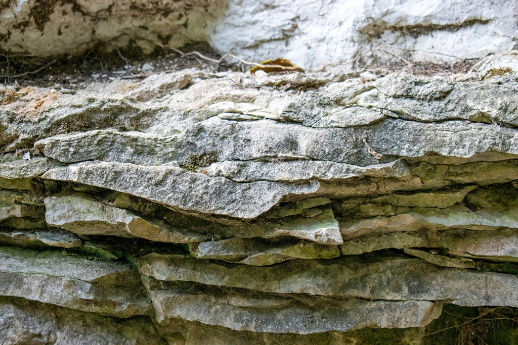 Lubjakivi. Photo by Kelsey Todd on Unsplash._0.jpg