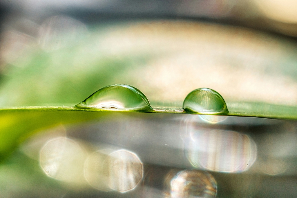 Veepiisad. Photo by Thomas Kinto on Unsplash._0.jpg