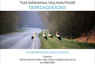 Pildil on asfalttee, millel seisab tee peal üks valge toonekurg raag suus, tema vastas teepervel seisavad ja vaatavad teda veel kolm kurge. Pildi ülal valgel ribal: Tule Märjamaa Vallavalitsusse eripedagoogiks! Pildi all valgel ribal on tekst: Kandideerimiseks klikka plakatil. Lisainfo: haridusnõunik Helen Raid, helen.raid@marjamaa.ee, tel 5900 9501.