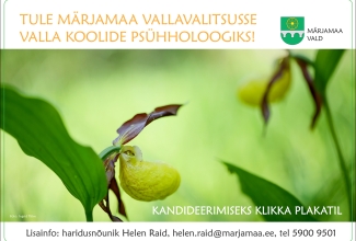 Pildil on vasakul pool fookuses olev kuldking, paremal veidi eemal teine, mis on fookusest väljas. Pildist ülal valgel ribal on tekst: Tule Märjamaa Vallavalitsusse valla koolide psühholoogiks!. Pildi all valgel ribal on tekst: Lisainfo: haridusnõunik Helen raid, helen.raid@marjamaa.ee, tel 5900 9501. Pildi allosas on tekst: kandideerimiseks klikka plakatil.
